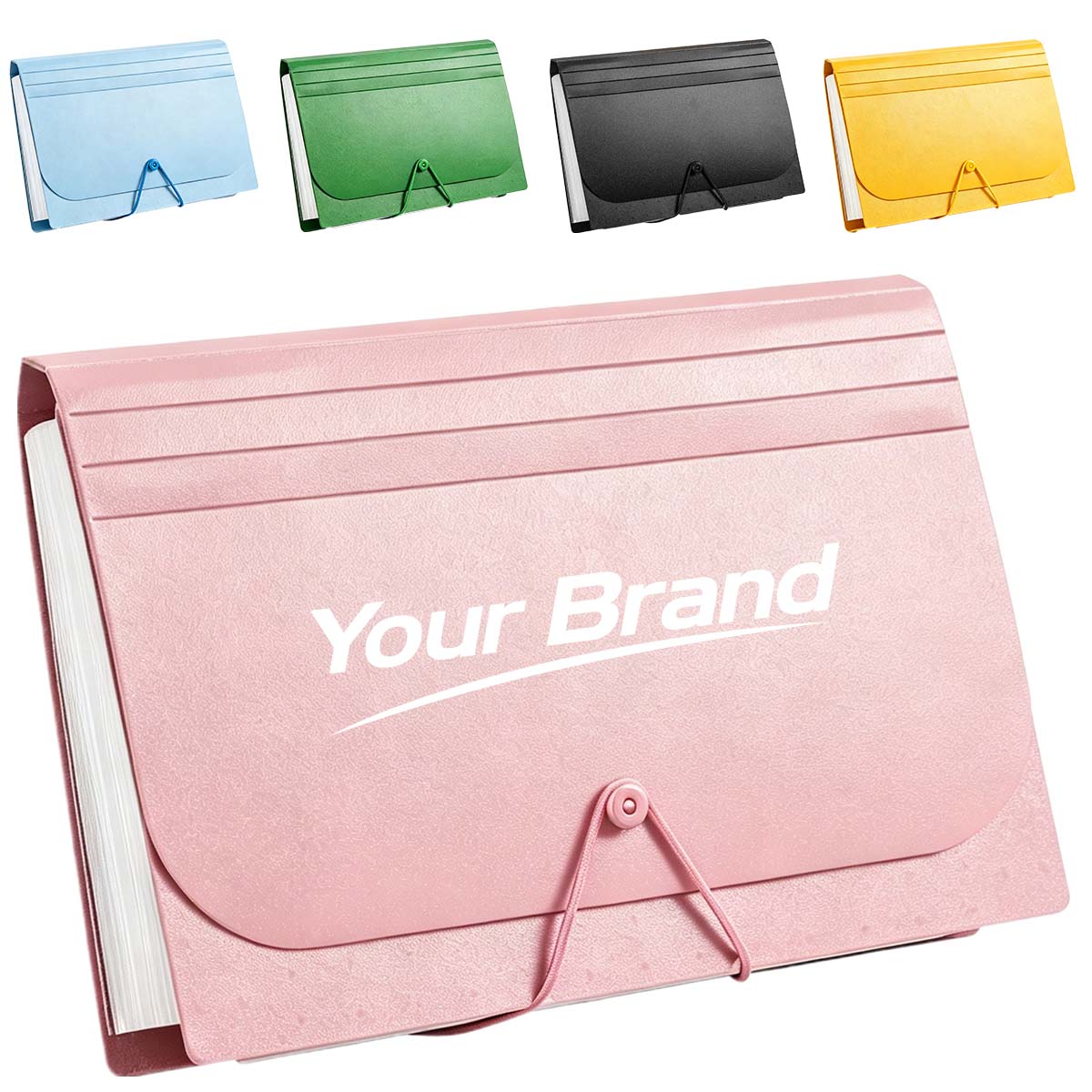 Expandable Accordion File Folder Document Organizer Case